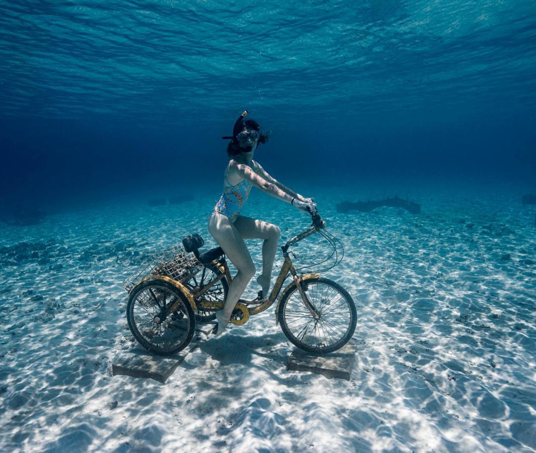 Resort Maldives With 50 Percent Off On Sea Plane Roundtrip 04 Nights & Above Fushifaru